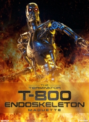 Sideshow - Terminator T-800 Endoskeleton Maquette Statue