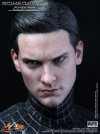thumb_19_hottoys_blackspidey_11.jpg