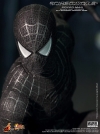 thumb_19_hottoys_blackspidey_4.jpg