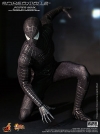 thumb_19_hottoys_blackspidey_8.jpg