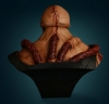 thumb_276_4.jpg