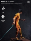 thumb_312_p9.jpg