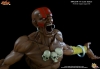 thumb_322_7.jpg