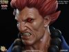 thumb_387_5.jpg