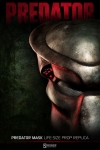 thumb_435_7.jpg