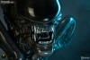 thumb_438_3.jpg