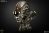 thumb_438_5.jpg