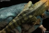 thumb_487_777.jpg