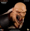 thumb_488_7.jpg