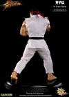 thumb_493_77.jpg