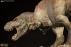 thumb_505_777.jpg