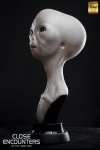 thumb_565_2.jpg