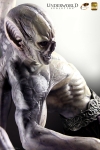 thumb_575_7.jpg