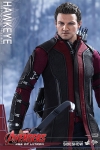 Hot Toys - 1/6 Scale Avengers Age of Ultron - Hawkeye Collectible Figure