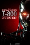 Sideshow - The Terminator - Terminator Life-Size Bust