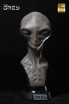 Elite Creature Collectibles - The Grey Life-Size Bust