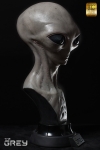 thumb_646_3.jpg
