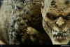 thumb_744_7.jpg