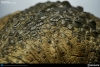 thumb_744_8.jpg