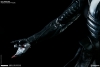 thumb_760_10.jpg