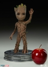 thumb_829_4.jpg