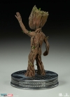 thumb_829_6.jpg