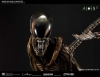 thumb_848_8.jpg